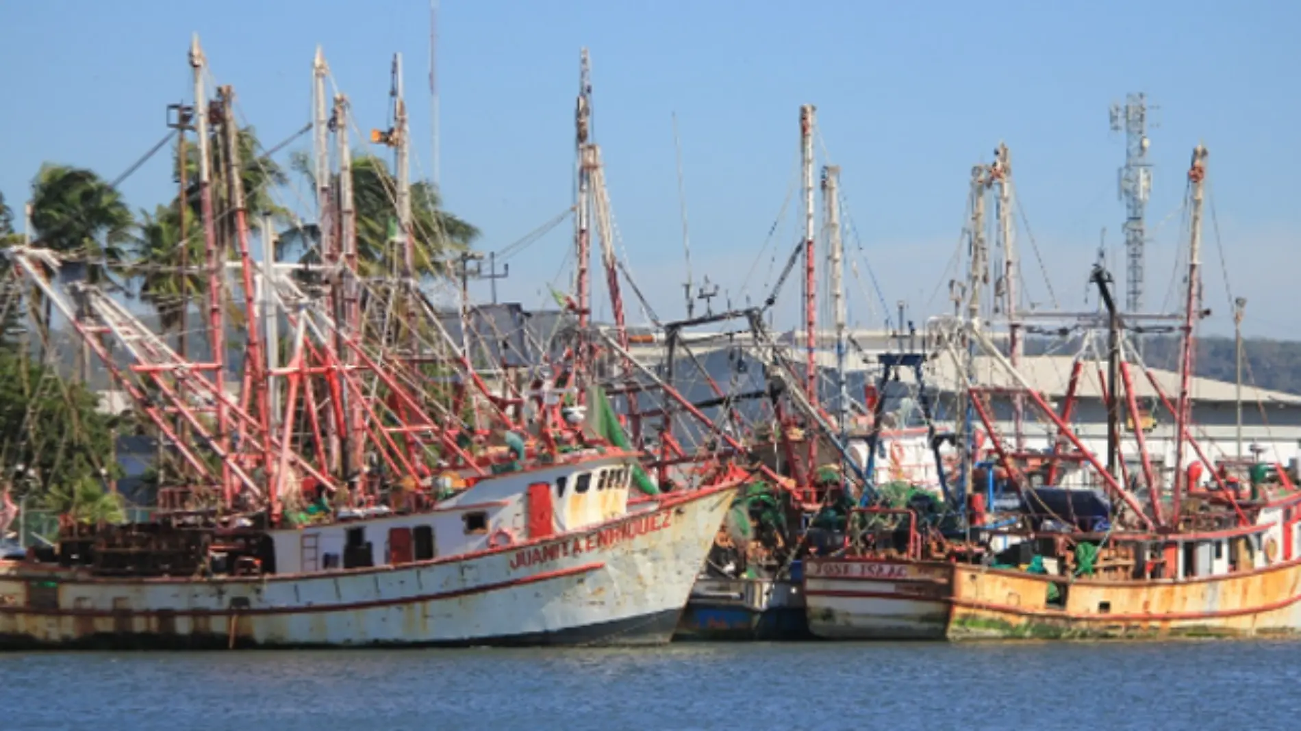 barco camaronero